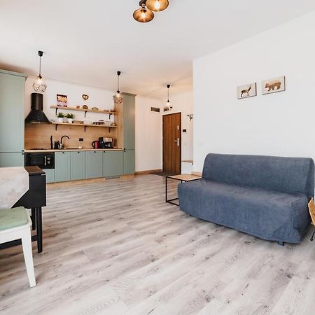 Schiller Studio 64 - Free Private Parking Брашов Экстерьер фото