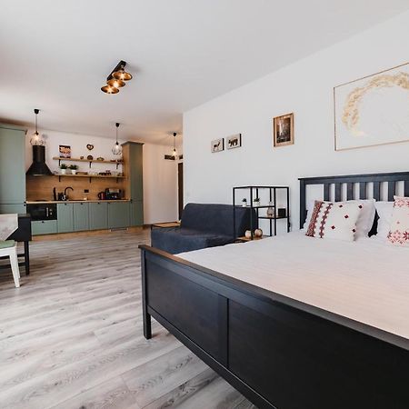 Schiller Studio 64 - Free Private Parking Брашов Экстерьер фото