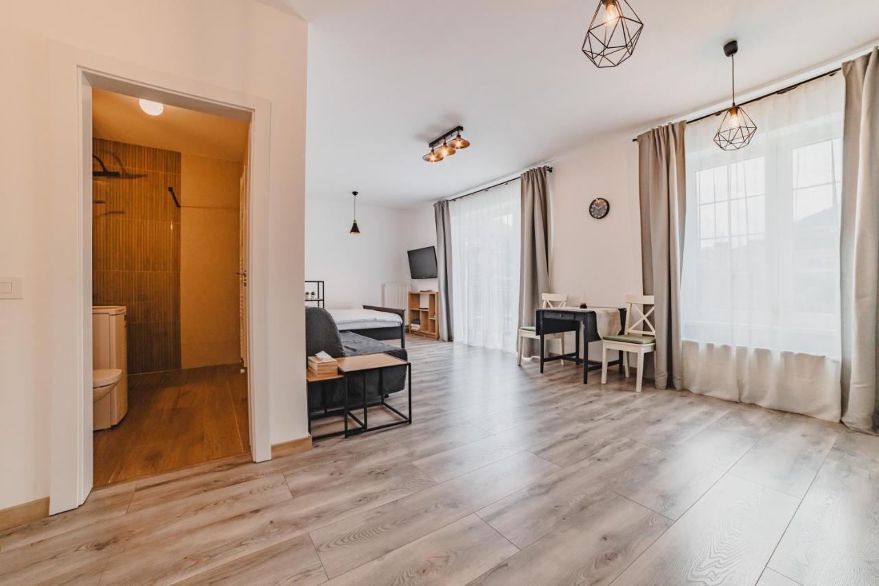 Schiller Studio 64 - Free Private Parking Брашов Экстерьер фото