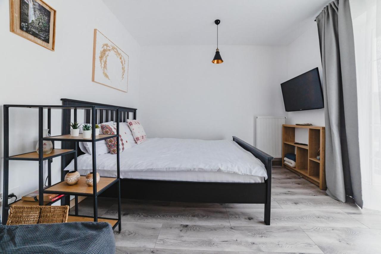 Schiller Studio 64 - Free Private Parking Брашов Экстерьер фото